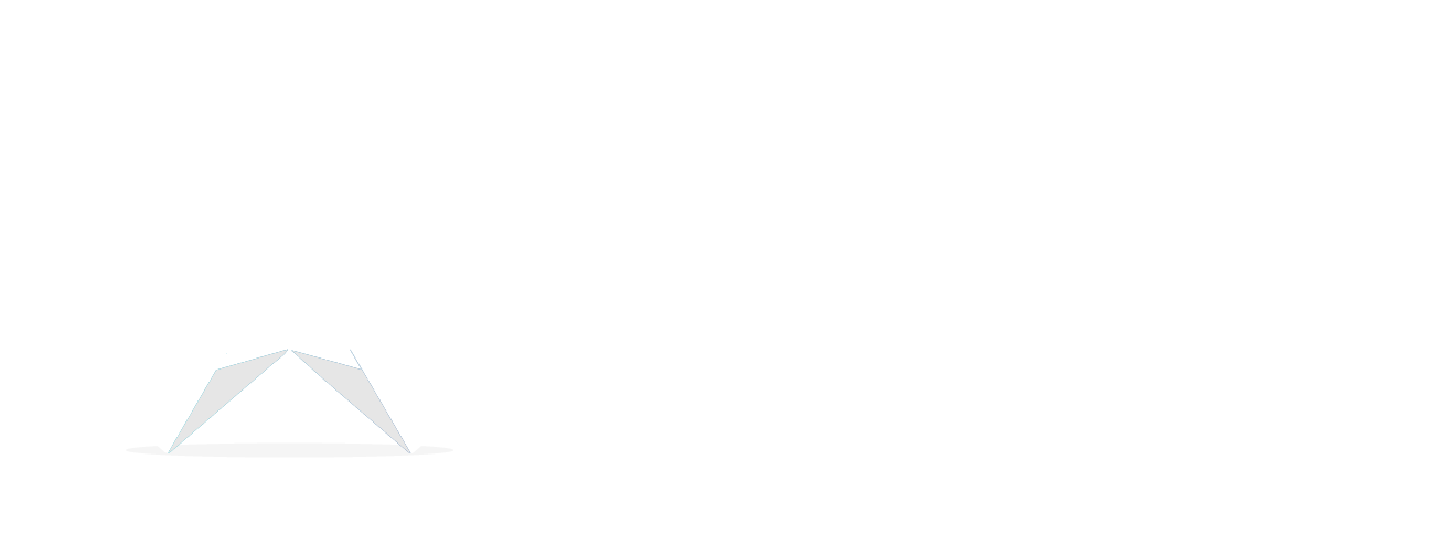 Apolo Consulting Group